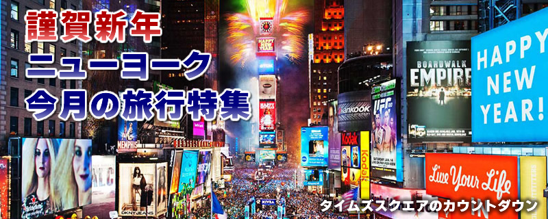 ニューヨークの正月と新年のツアー